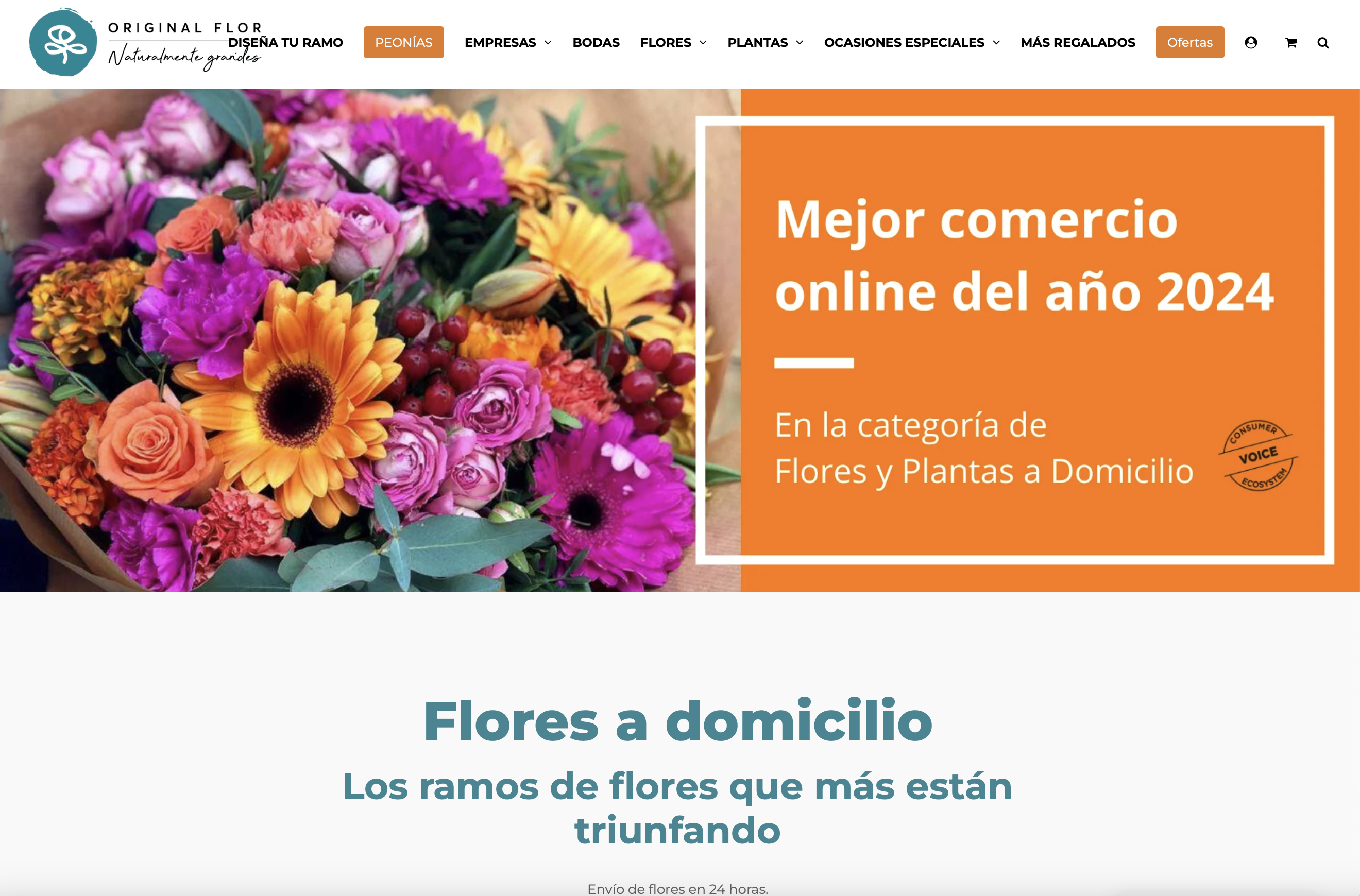Original Flor – Authentische und hochwertige spanische Lebensmittel