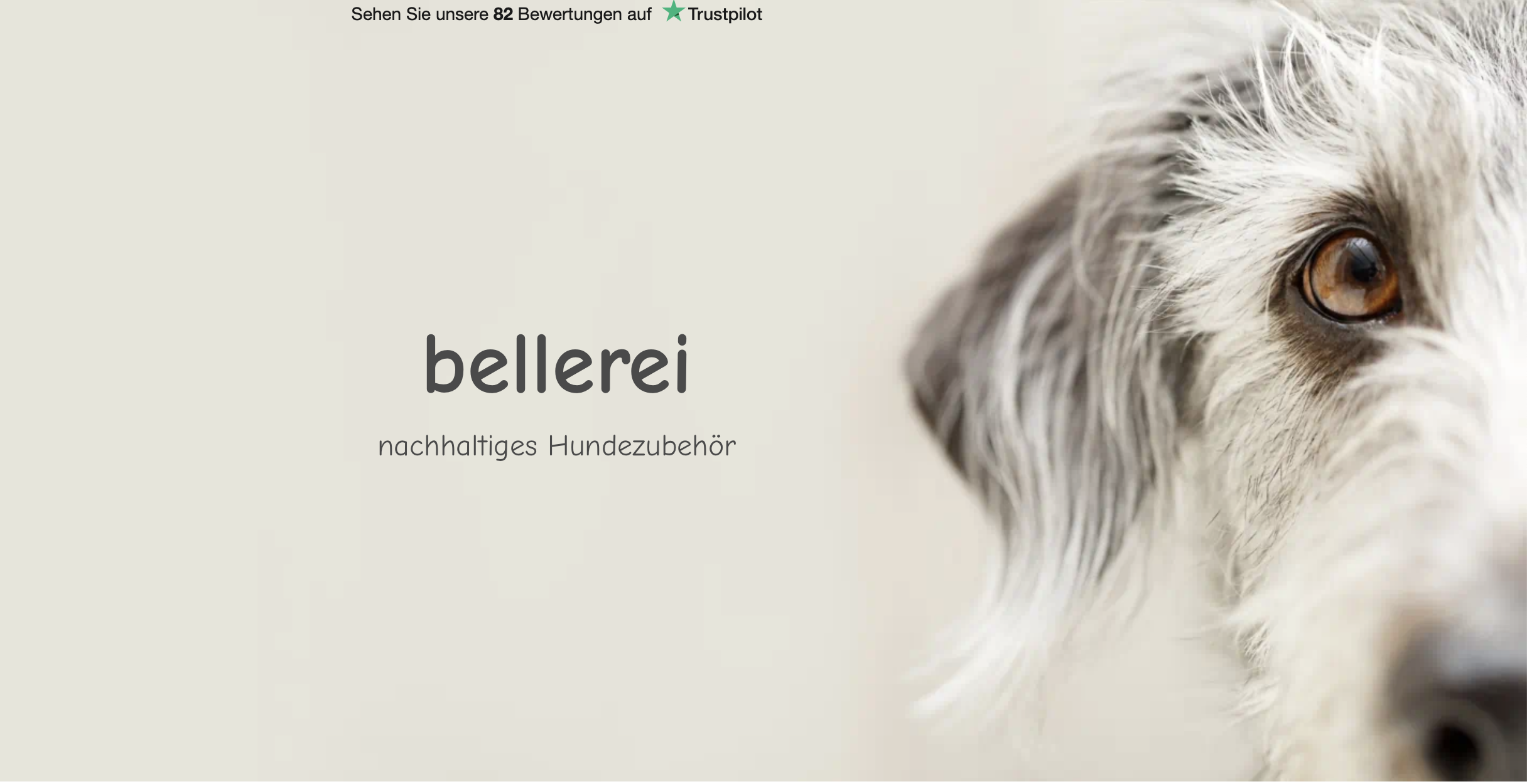 BELLEREI: Hochwertiges Hundezubehör zu fairen Preisen